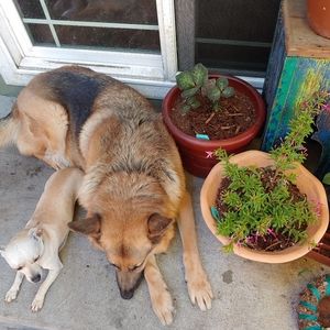 Meet your Posher, Ben